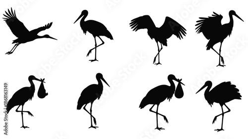A collection of stork illustrations in various poses a striking silhouette