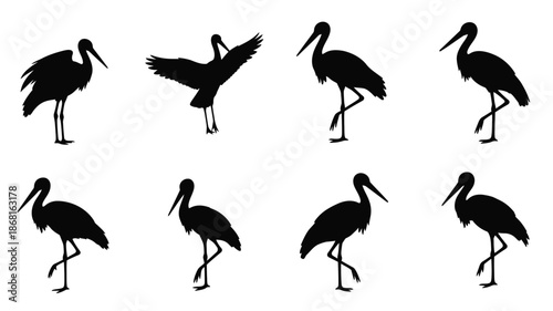 A collection of black stork silhouettes in various walking and flying poses