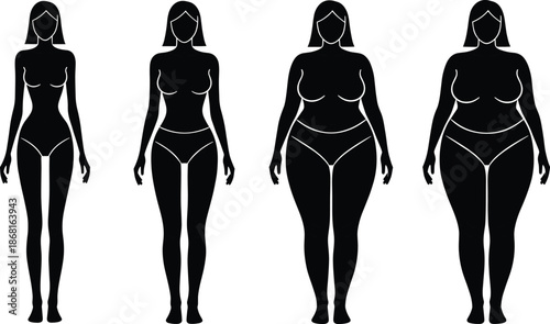Female Body Type Silhouette Comparison Chart Showing Slim Average Curvy and Plus Size Figures Vector.