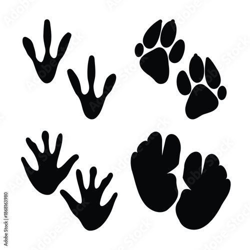 Diverse collection of black animal paw and foot tracks in silhouette on a white background