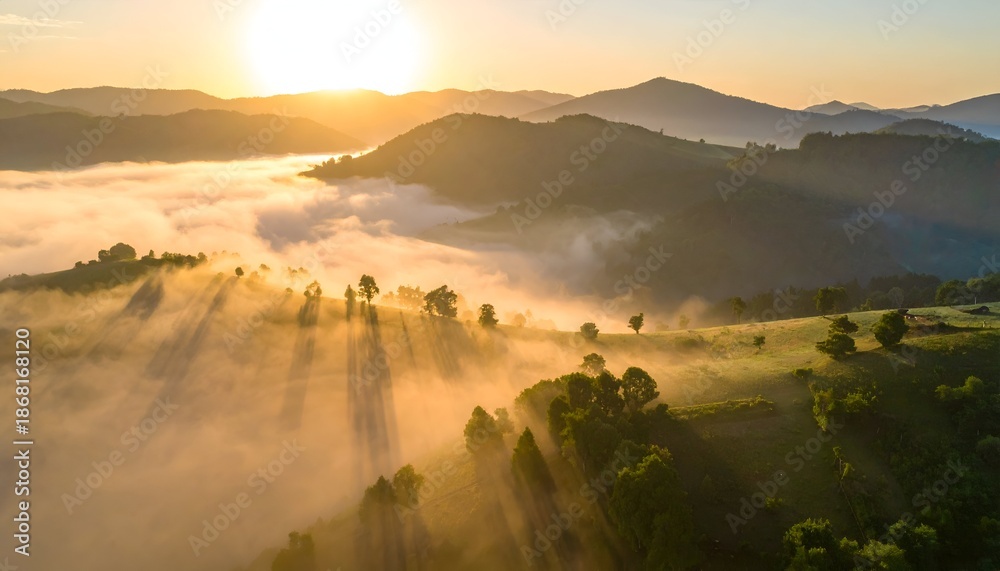 Obraz premium A breathtaking sunrise illuminating fog-covered hills, casting long shadows over lush greenery