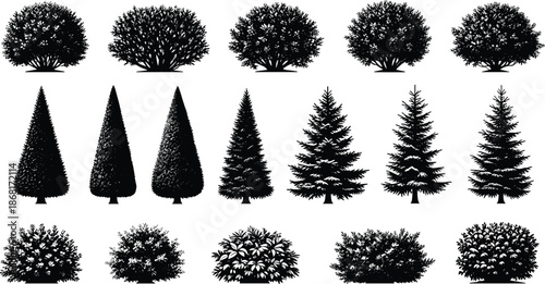 Tree and bush silhouette vector set illustration, assorted forest plants and shrubs collection, landscaping elements, black white botanical nature design