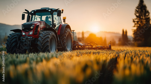 Powerful red tractor in wheat field during sunrise, modern agricultural machinery in scenic farmland
