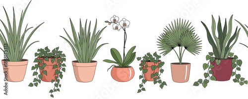 Line Art Style Indoor Houseplants Illustration Set with Decorative Pots Modern Home and Office Botanical Collection