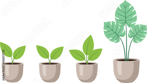 Plant Growth Concept Illustration Set with Small Seedlings and Mature Monstera in Pots Flat Style