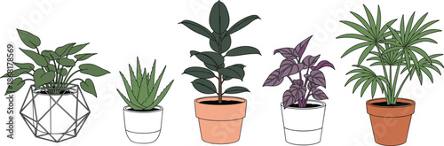 Minimal Line Art Style Indoor Plants Set with Geometric and Classic Pots Modern Botanical Illustration Collection