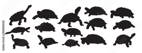 tortoise silhouette set