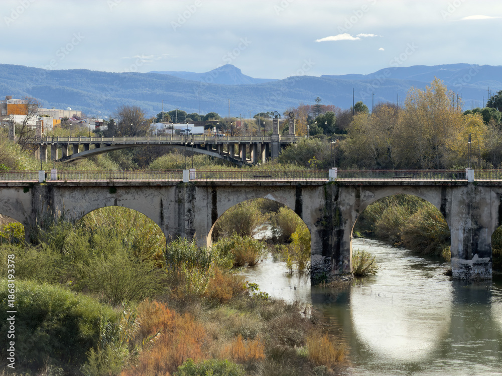 Fototapeta premium Serpis River with high water flow in Gandia, Spain. Includes stone arch bridge, lush green vegetation, and distant mountains