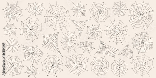 An intricate pattern of delicate spiderwebs fills the entire frame