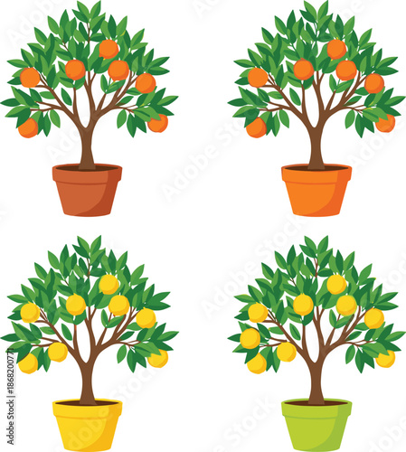 Flat Style Fruit Tree Illustration Set with Orange and Lemon Plants in Colorful Pots Decorative Botanical Collection