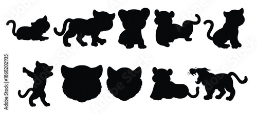 Set of Tiger vector illustration