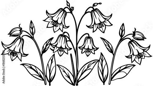 Very beautiful watercolor bluebell flower set with hand drawn elements, designed for spring and summer floral compositions, capturing freshness, softness, and artistic botanical elegance.