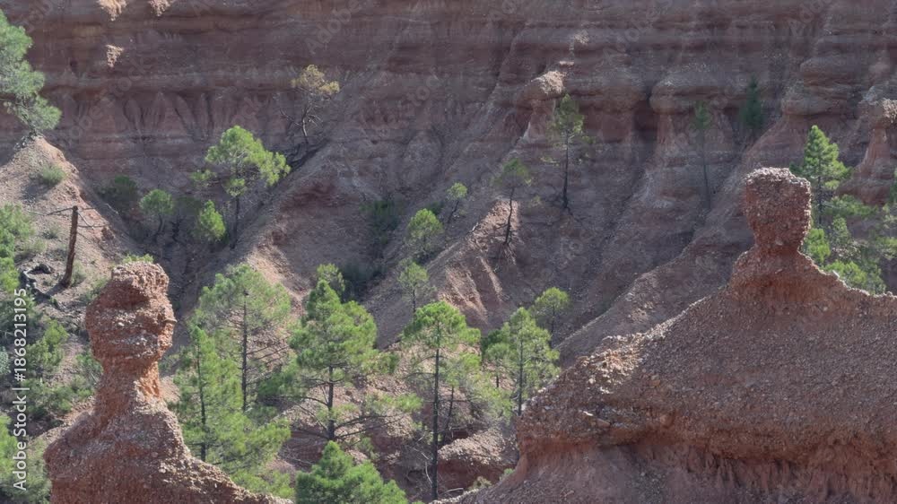 custom made wallpaper toronto digitalEroded red rock hoodoos and pine trees under sun