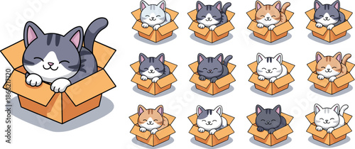 Cartoon cats in boxes, cute kittens, fur patterns, playful poses, pet illustration, striped and patched cats, cozy scene, feline art