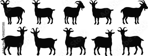 Goat silhouettes, animal shapes, horn variation, livestock icons, black design, farm animals, standing poses, goat species, minimal art, educational graphic