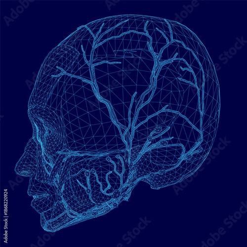 A detailed blueprint of the human brain reveals its complex anatomy, including lobes, neural pathways, and internal structures.