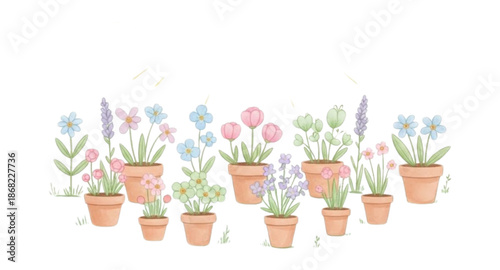 spring flowers in a pot