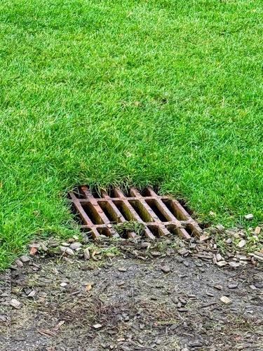 Portrait image of drain on border between grass and path
