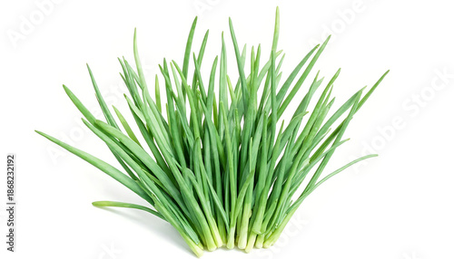 Fresh Green Onion Grass Cluster on White