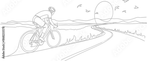 Cyclist riding on winding road with birds flying