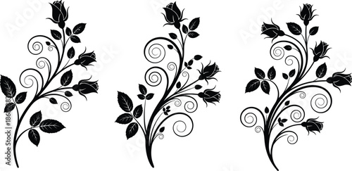 rose, floral, vine, silhouette, black, vector, illustration, swirl, leaf, bud, nature, decorative, elegant, tattoo, design, motif, ornate, art, horizontal, pattern