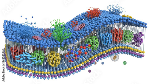 Detailed Scientific Visualization of a Complex Biological Membrane Structure with Integrated