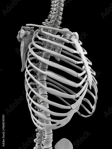 Side view 3D human rib cage on black background, dramatic anatomical skeleton render with depth, perfect for medical posters, research slides, and editable layouts.