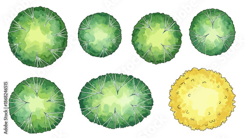 Watercolor tree icon set, yellow hand drawn bush top view, vector green architecture map design kit. Garden park abstract sign, nature environment plan landscape layout object. Flat tree top crown art