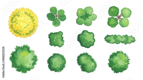 Watercolor tree icon set, yellow hand drawn bush top view, vector green architecture map design kit. Garden park abstract sign, nature environment plan landscape layout object. Flat tree top crown art