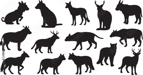 Collection of various animal silhouettes on white background