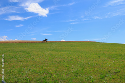 pferd reiterin galopieren wiese fernsicht wolken landschaft idyllisch
