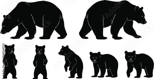 Bear silhouettes collection, wild grizzly and cub poses set, wildlife animal behavior concept vector illustration isolated black white