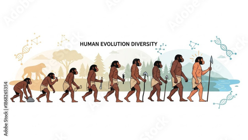 Human evolution diversity timeline showing stages from early hominids to modern man conceptual illustration for science and education