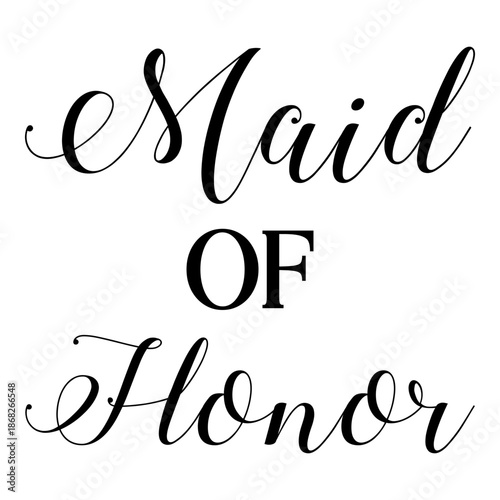 Modern Flat Design Wedding Party Guest Vector Character Illustration