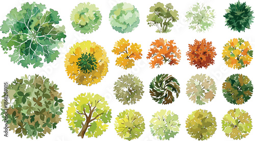 Colorful top view tree canopy collection illustration featuring seasonal foliage variations, vector forest elements, design assets isolated on dark background for games and visualization
