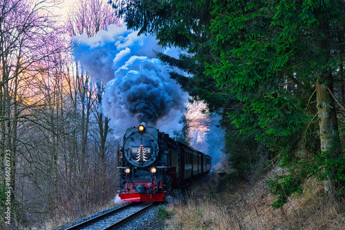 Selketalbahn, Schmalspurbahn, Harz, Deutschland