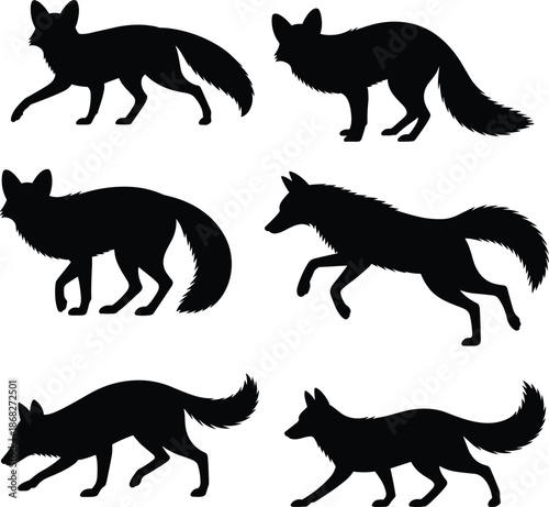 Fox silhouette poses collection, wild animal movement set, running walking hunting foxes vector illustration isolated black white background