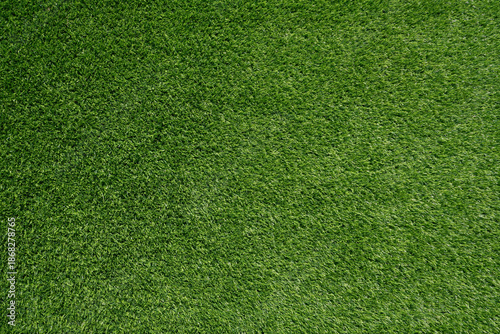Top view of green grass background. Green turf