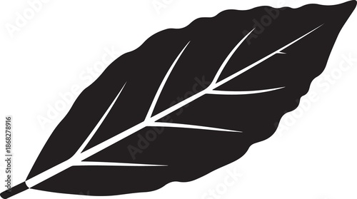 A graphic illustration of a single leaf silhouette with prominent vein details