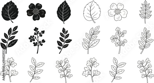 Collection of elegant black and white leaf and flower illustrations