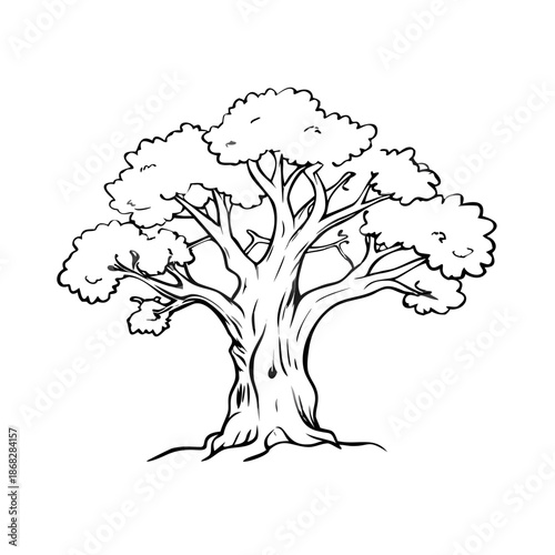 Detailed old oak sketch depicting robust tree trunk and expansive branches. Old oak sketch captures timeless natural beauty, perfect for classic design projects or ecological themes.