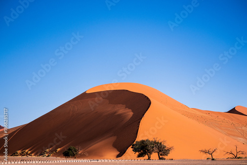 Düne 45 im Sossusvlei