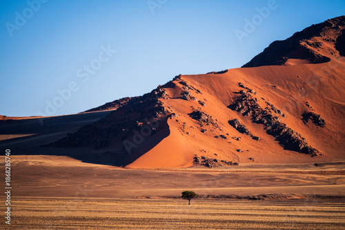 Im Sossuvlei