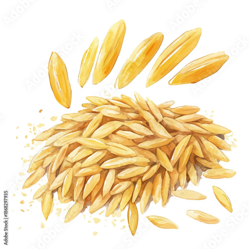 Minimal yet artistic elements for creative designs. hand-drawn paint, Simple Illustration, A beautiful painting of orzo pasta, EPS format, isolated on a white background