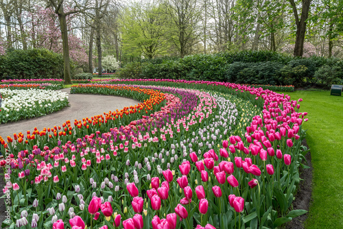 Wallpaper Mural Jardin botanique aux tulipes de Keukenhof , à Lisse aux Pays-Bas Torontodigital.ca