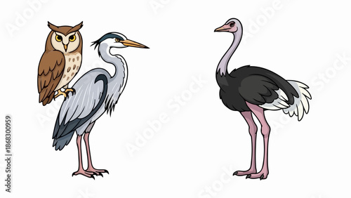 Cartoon owl perched on a heron, facing an ostrich