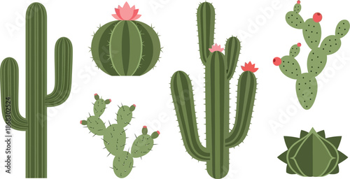 Cactus Variety Display: A visually captivating composition showcasing a range of vibrant cactus types with variations in form and floral accents, perfect for educational or illustrative purposes.