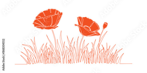 Illustration of poppy flowers in a continuous line art drawing style.
