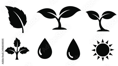Black and white illustrations of leaves sprouts water drops and a sun