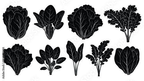 A collection of black and white leafy vegetable silhouettes showcasing diverse textures